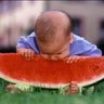 گل گل profil fotoğrafı