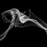 Фото профиля Smoke
