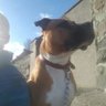 Charlie's Da!'s profile picture
