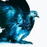 zumi3 profil fotoğrafı