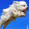 上山信一 Ueyama profil fotoğrafı