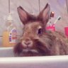 Profilbild von ida