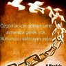 iyilik_halleri 🍉 profil fotoğrafı