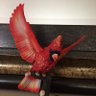 Фото профиля Red Bird 72