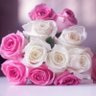 Jiajian Rose profil fotoğrafı