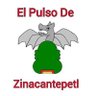 El Pulso De Zina 的头像