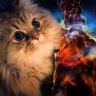 Profilbild von Highwaycat83