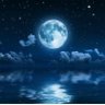 夜🕊's profile picture