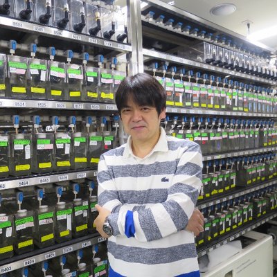 Koichi Kawakami, 川上浩一's profile picture