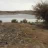 Фото профиля يمن الاحرار
