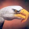 ceagles40nil 的头像