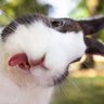 sandy j's profile picture