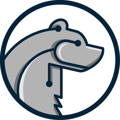 bearstech's profile picture
