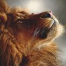 Фото профиля Evgeny Bandurka