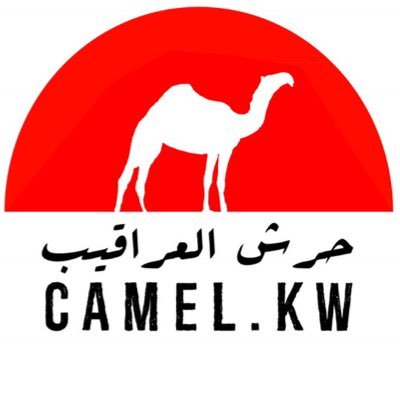 camel_kw's profile picture