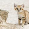 Фото профиля アトナス
