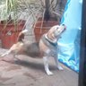 mora 2004's profile picture