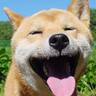 Profilbild von だいま（hideki kobayashi）