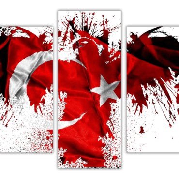 Konooz_Istanbul's profile picture