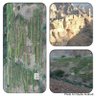 Фото профиля هلال محمد السعيدي