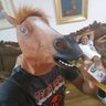 HorseHead 的头像
