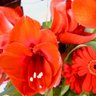 Bloemrijk's profile picture