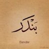 بندر المنقور's profile picture