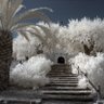 Фото профиля Bertrand Grondin