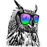 xam925's profile picture