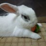 となちゃん's profile picture