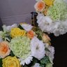 さくら's profile picture