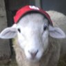 Farmer Tom 的头像