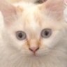 Profilbild von lori hutchinson