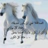 Фото профиля Fmbs