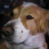 Profilbild von AJ