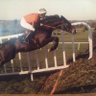 Paul Duffin's profile picture