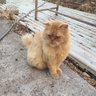 Mailo 的头像