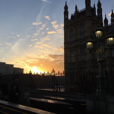 brexitblog_info's profile picture