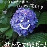 あっきー【M🍬】's profile picture