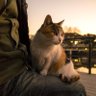 ときしー profil fotoğrafı