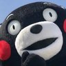 norinori's profile picture