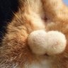誰だ's profile picture