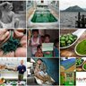 NUTRICOOL profil fotoğrafı