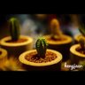 Фото профиля ✘_ ✘ ทาคุมิ ❻▀▄▀▄▀▄