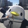 土御門蓮（つちみかど　れん）'s profile picture