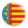 Miguel Borrillas 🇪🇸💙💛 profil fotoğrafı