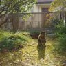 ｴﾌｨ's profile picture