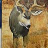 Beaver's Productions Healing Arts&Art Industry's profile picture