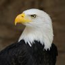 Nancy Henry 🇺🇸🗽🛐✝️♀️'s profile picture