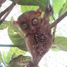 アンチ👁️メディア profil fotoğrafı